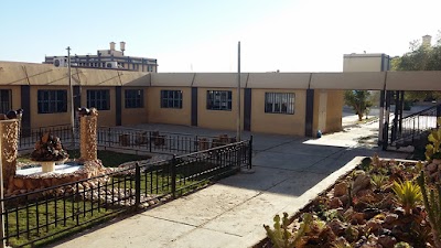 university
