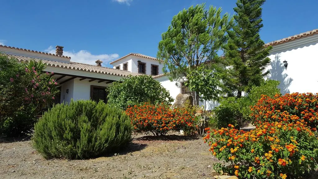 La loma del sabinal