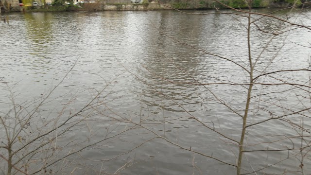 Pont Saint-Martial