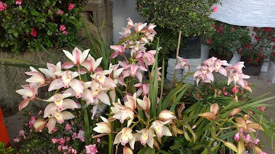 Photos of The Flower Fair