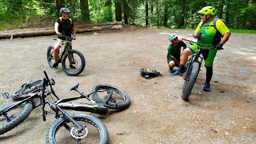 Guides des Carroz Grand Massif - Guides de hautes montagnes - Thumbnail