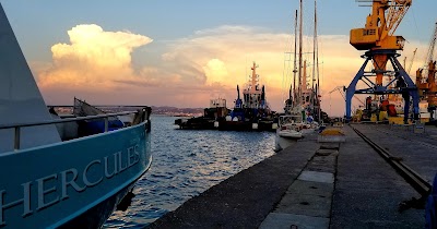 Durres Container Terminal