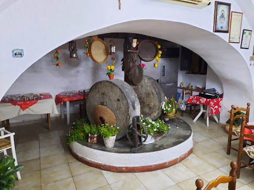 a squella - Visual