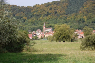 Photo n°6 de Auberge du DAUBENSCHLAG à Ernolsheim-lès-Saverne (Restaurant français)