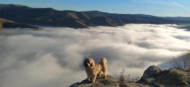 Mirador de Trevijano Cañón del Leza