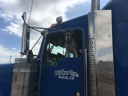 Walker, Inc - Visual