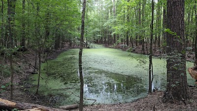 Congaree Creek Heritage Preserve