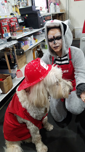 Gold Country Ace Hardware - Thumbnail