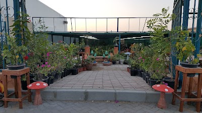 Photos of جامع علي بن سيف رحمه الله