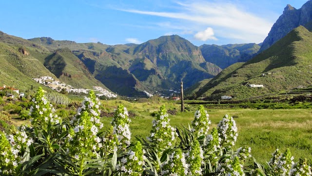 Necrópolis del Maipez