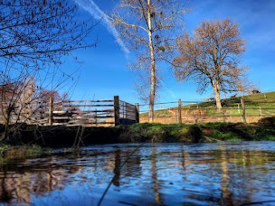 Photo n°2 de Haras TEK à Vic-sous-Thil (Éleveur de chevaux)
