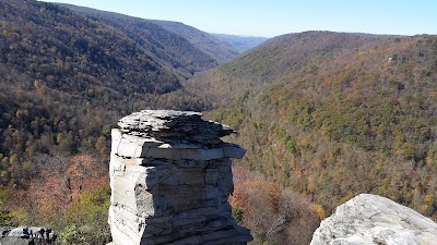 Photos of Blackwater Falls State Park