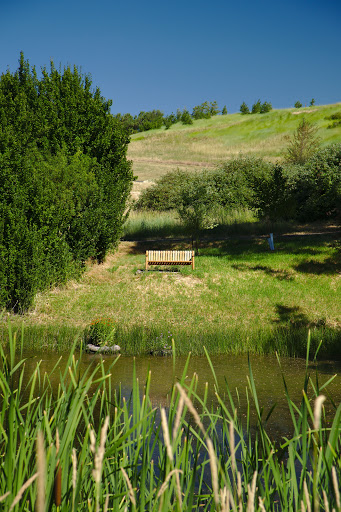 Washington State University Arboretum - Thumbnail