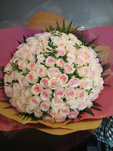 HILARIA FLEURS