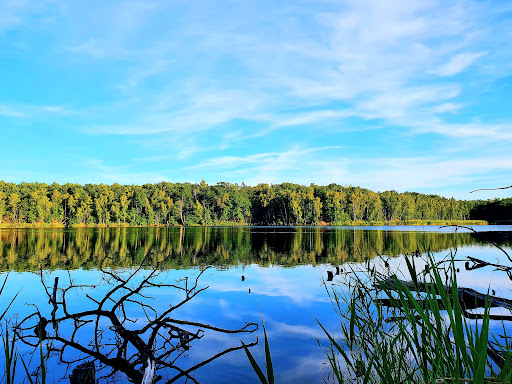 Alte Grube Möhlau - Thumbnail