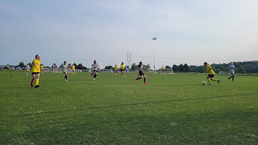 Field 14