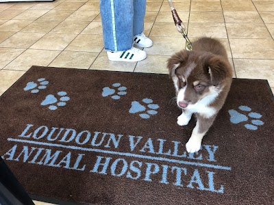 Loudoun Valley Animal Hospital