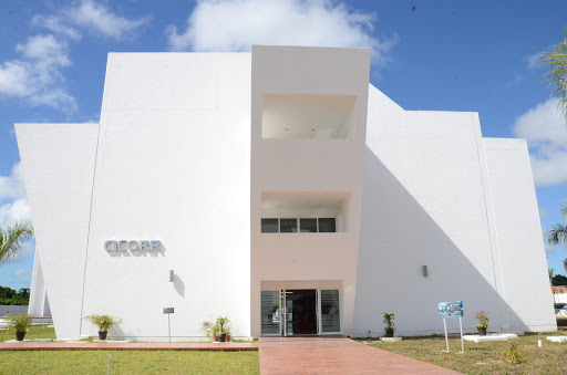 Centro de Investigaciones en Corrosión (CICORR)