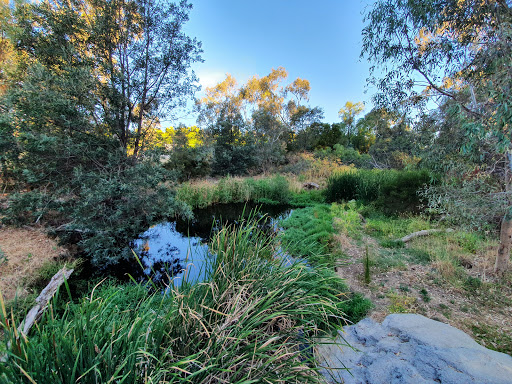 Campbells creek track - Thumbnail