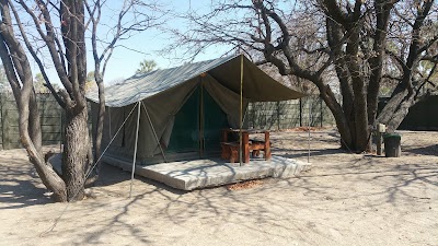 Photos of Audi Camp - Maun