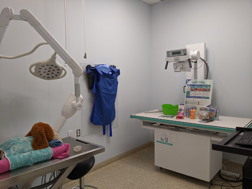 Vimy Bridge Animal Hospital - Thumbnail