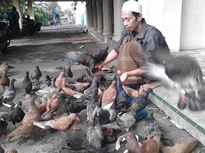 Photos of Kang Doel Media Net
