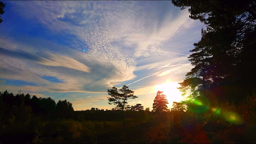 Copsem Lane Car Park - Thumbnail