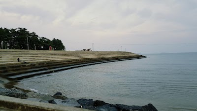 Photos of 비인해수욕장