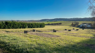 Photo n°16 de Parc Saint Vincent à Lévignac-de-Guyenne (Maison de vacances)