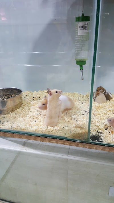 Photos of Kangar Pet Shop - 1st