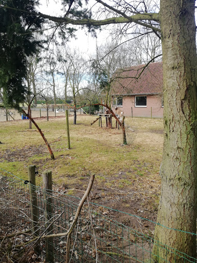Kapservice Gerda Stegeman - Thumbnail