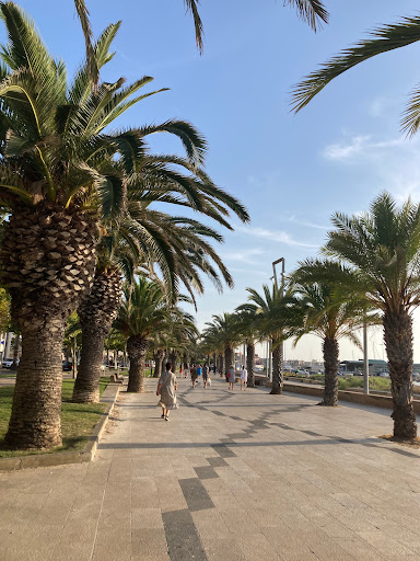 Gira l'Alguer - Thumbnail