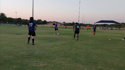 Field #10 - Visual