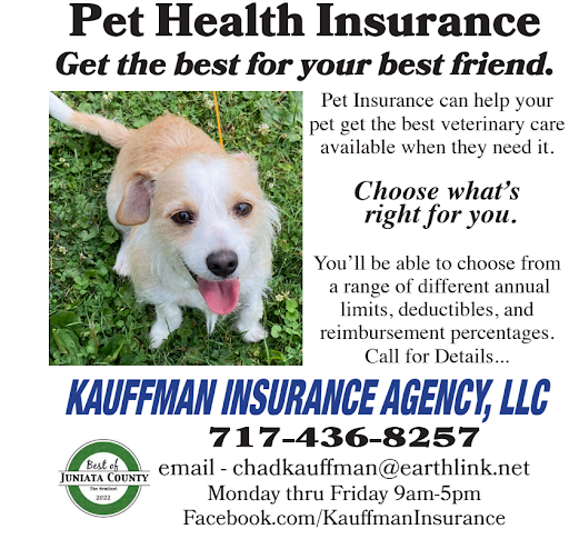 Kauffman Insurance Agency LLC Gallery - United States