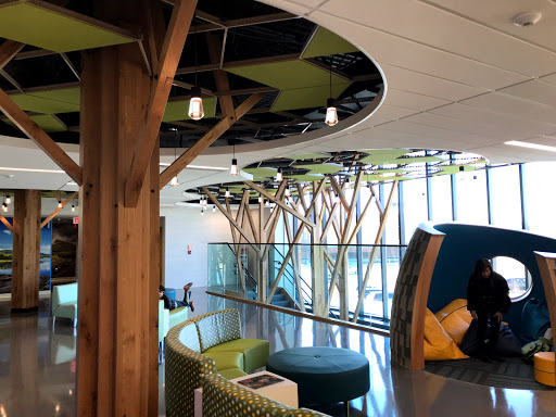 Northshore Children’s - Thumbnail