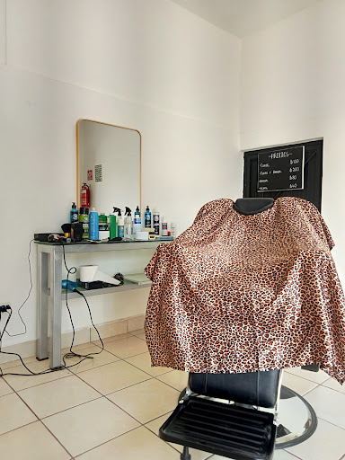 Studio ROGA - Visual