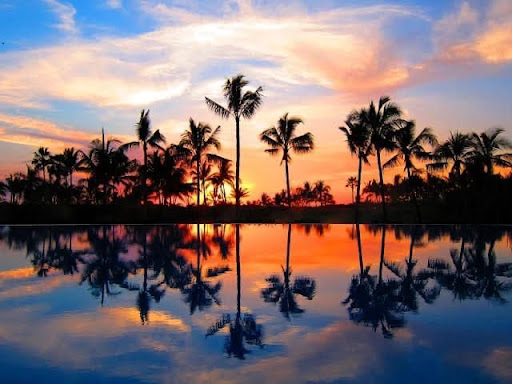 Anthony Vacations, LLC
