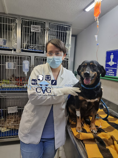 Centro veterinario Granados