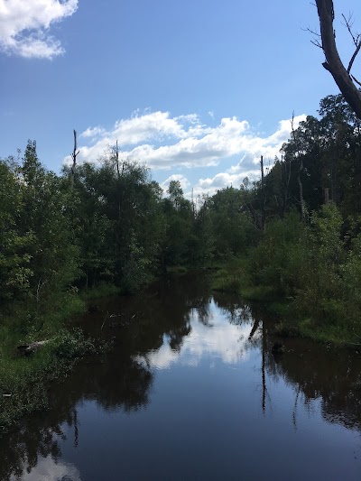 Liberty Hill Wildlife Management Area