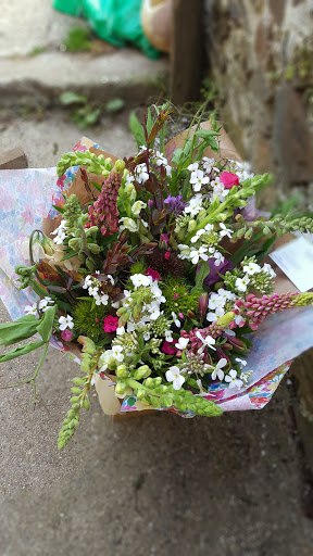 Sweetpeas and Sunflowers - Thumbnail
