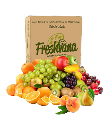 Freshvana - Visual