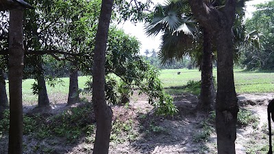 Photos of Tallabaria Mosque