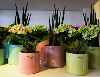 Photos of Flore Home