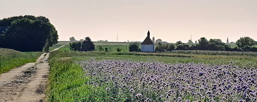 Arme-Seelen-Kapelle - Thumbnail