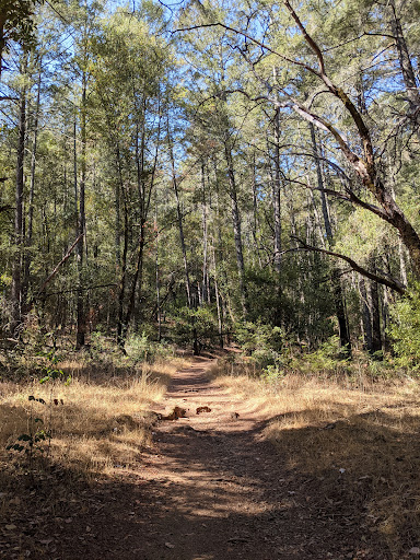 Trione-Annadel State Park - Thumbnail