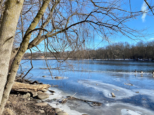 Gunnar Anderson Forest Preserve - Thumbnail