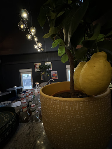 Lemon Lounge - Visual