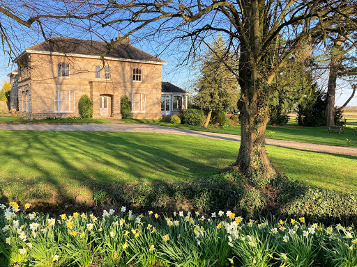 Walltree House - Visual