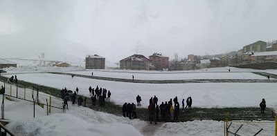 Bitlis Stadium August 8