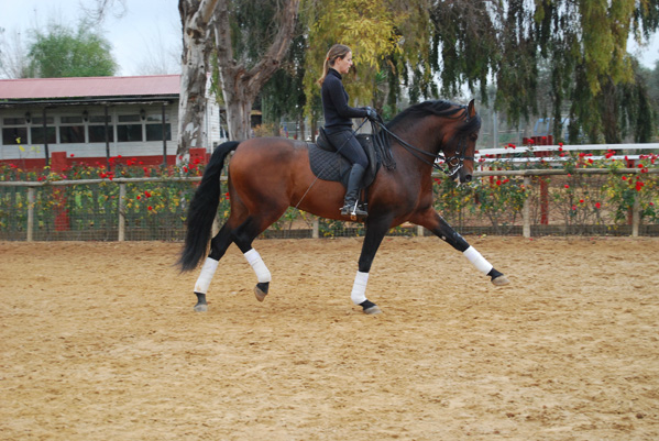 Epona Spain - Equestrian Center